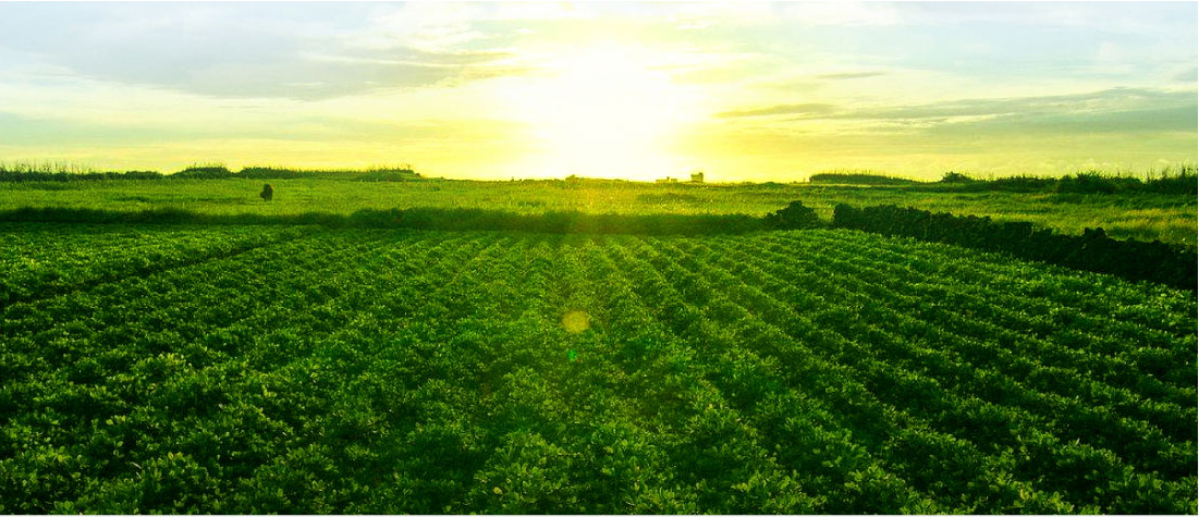 1561365962625709.jpg 關(guān)于我們-01_03.jpg